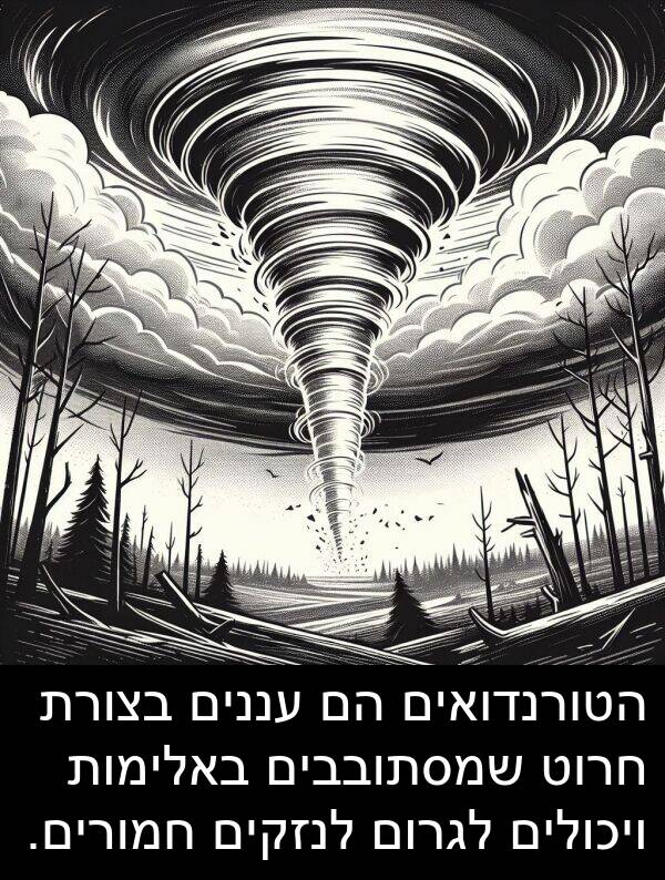באלימות: הטורנדואים הם עננים בצורת חרוט שמסתובבים באלימות ויכולים לגרום לנזקים חמורים.