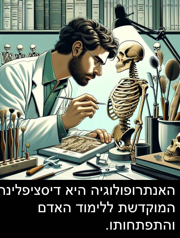 דיסציפלינה: האנתרופולוגיה היא דיסציפלינה המוקדשת ללימוד האדם והתפתחותו.