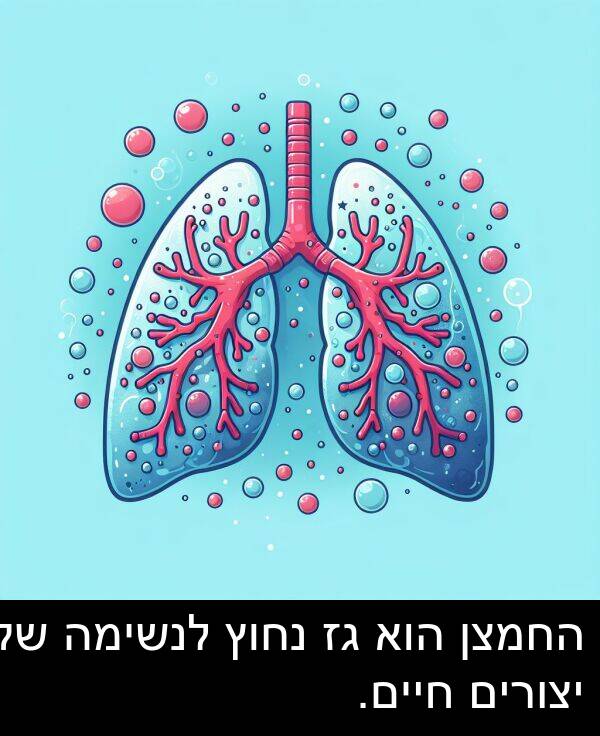 חיים: החמצן הוא גז נחוץ לנשימה של יצורים חיים.