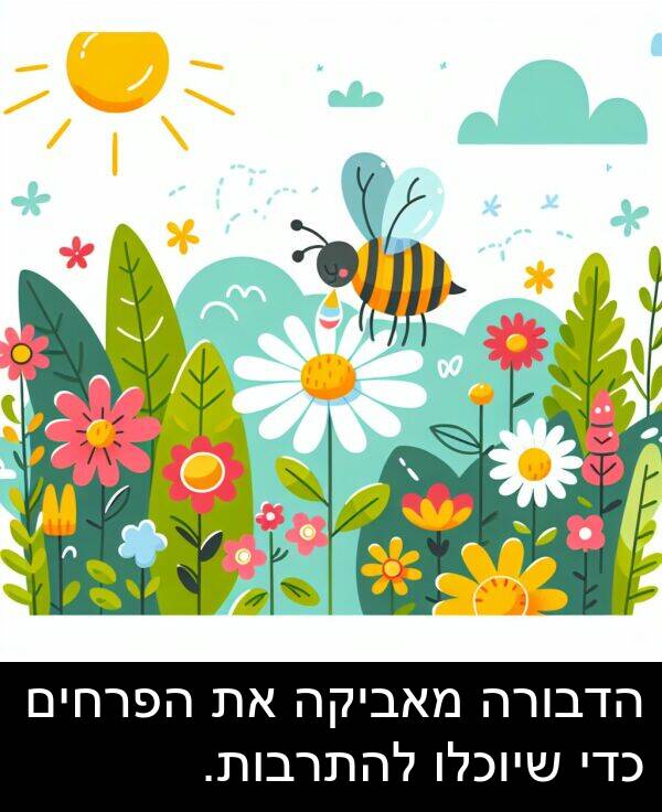מאביקה: הדבורה מאביקה את הפרחים כדי שיוכלו להתרבות.