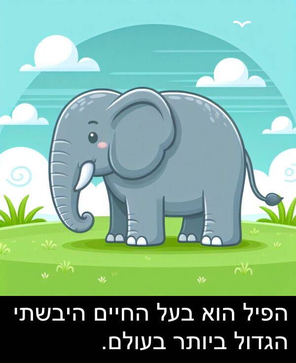 הגדול: הפיל הוא בעל החיים היבשתי הגדול ביותר בעולם.