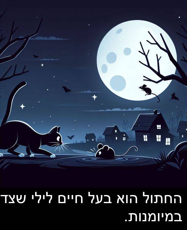 חיים: החתול הוא בעל חיים לילי שצד במיומנות.