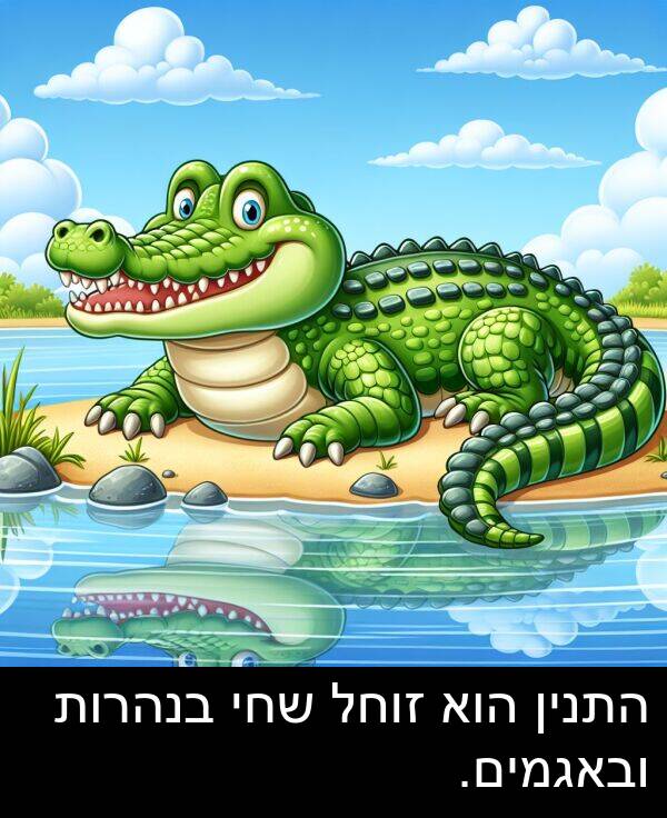 זוחל: התנין הוא זוחל שחי בנהרות ובאגמים.