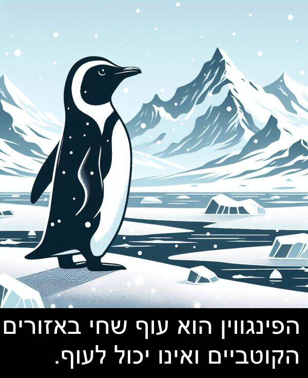 באזורים: הפינגווין הוא עוף שחי באזורים הקוטביים ואינו יכול לעוף.