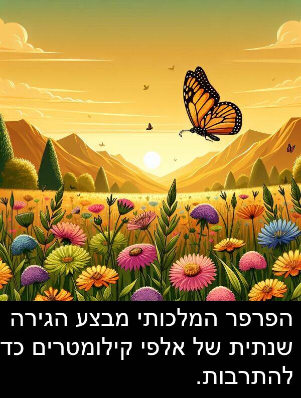מבצע: הפרפר המלכותי מבצע הגירה שנתית של אלפי קילומטרים כדי להתרבות.