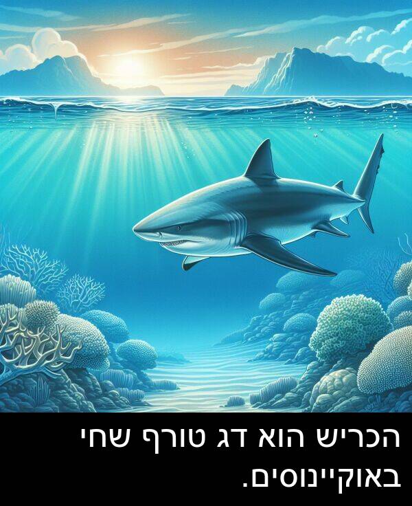 טורף: הכריש הוא דג טורף שחי באוקיינוסים.