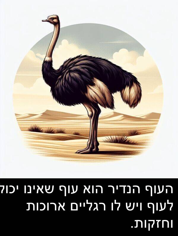 עוף: העוף הנדיר הוא עוף שאינו יכול לעוף ויש לו רגליים ארוכות וחזקות.