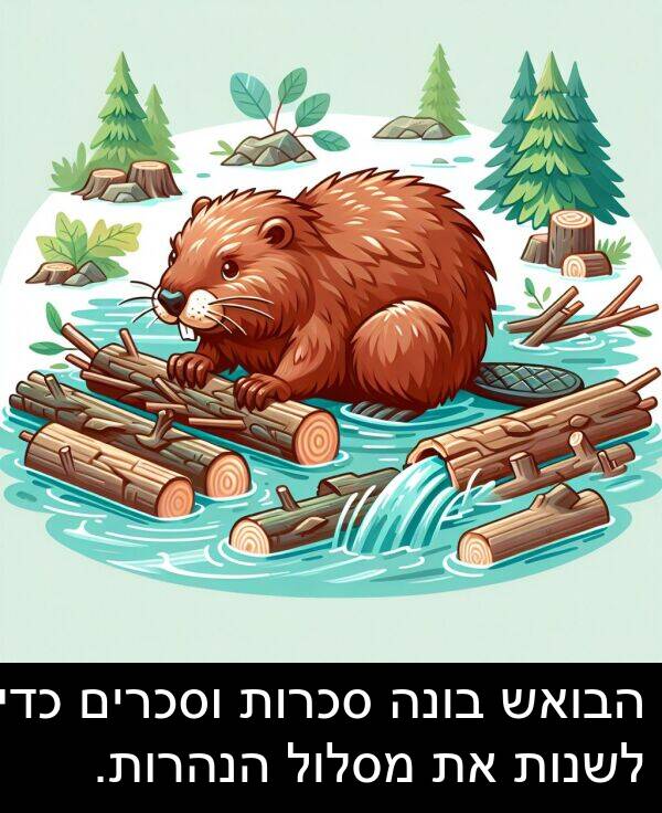 סכרות: הבואש בונה סכרות וסכרים כדי לשנות את מסלול הנהרות.