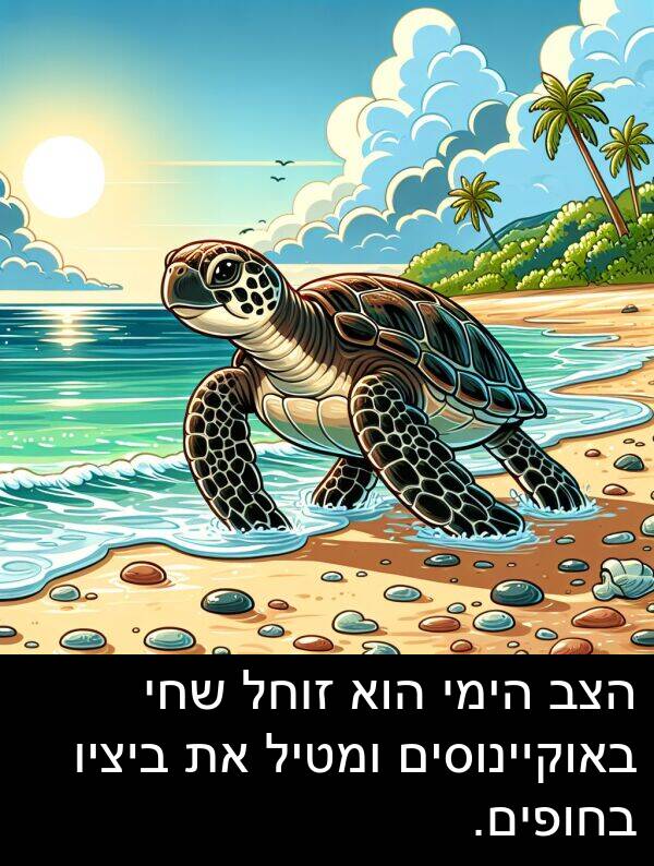 באוקיינוסים: הצב הימי הוא זוחל שחי באוקיינוסים ומטיל את ביציו בחופים.