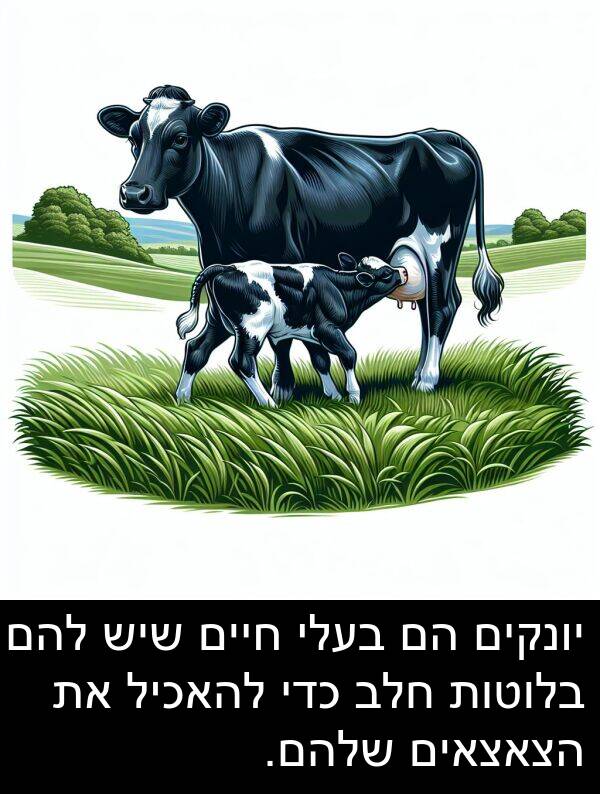 חלב: יונקים הם בעלי חיים שיש להם בלוטות חלב כדי להאכיל את הצאצאים שלהם.