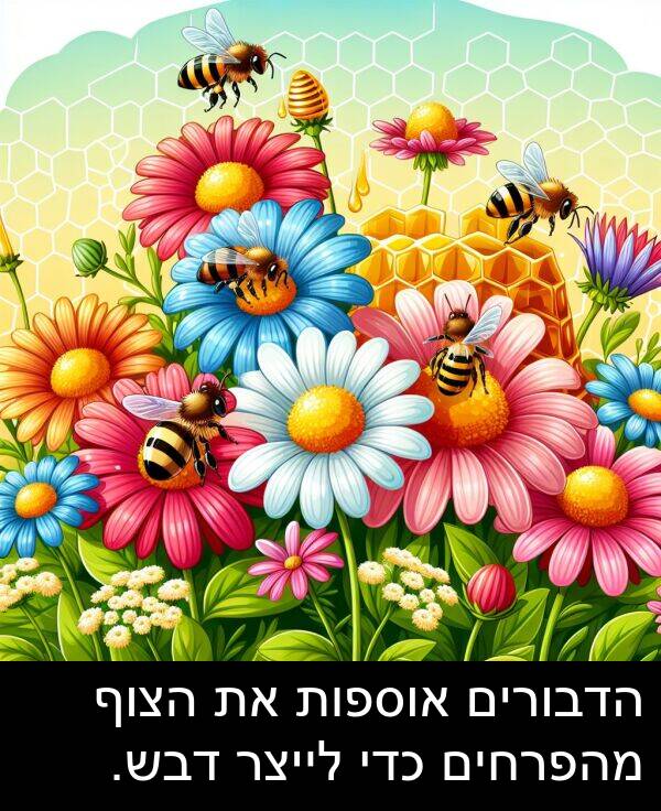 דבש: הדבורים אוספות את הצוף מהפרחים כדי לייצר דבש.