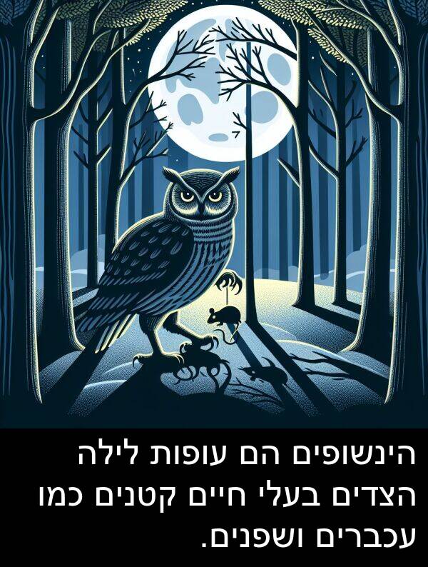 עכברים: הינשופים הם עופות לילה הצדים בעלי חיים קטנים כמו עכברים ושפנים.