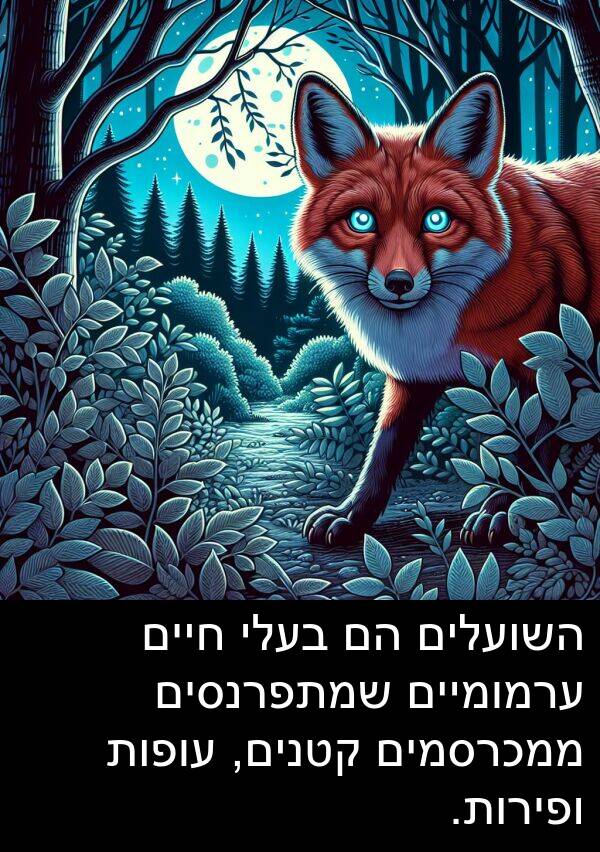 ערמומיים: השועלים הם בעלי חיים ערמומיים שמתפרנסים ממכרסמים קטנים, עופות ופירות.