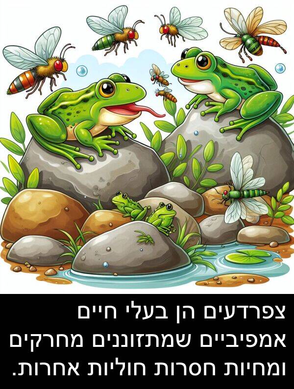 צפרדעים: צפרדעים הן בעלי חיים אמפיביים שמתזוננים מחרקים ומחיות חסרות חוליות אחרות.