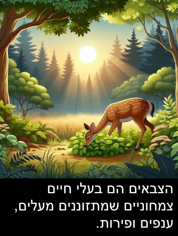 צמחוניים: הצבאים הם בעלי חיים צמחוניים שמתזוננים מעלים, ענפים ופירות.