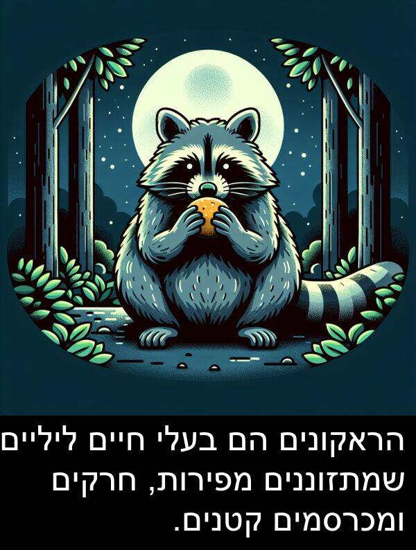 קטנים: הראקונים הם בעלי חיים ליליים שמתזוננים מפירות, חרקים ומכרסמים קטנים.