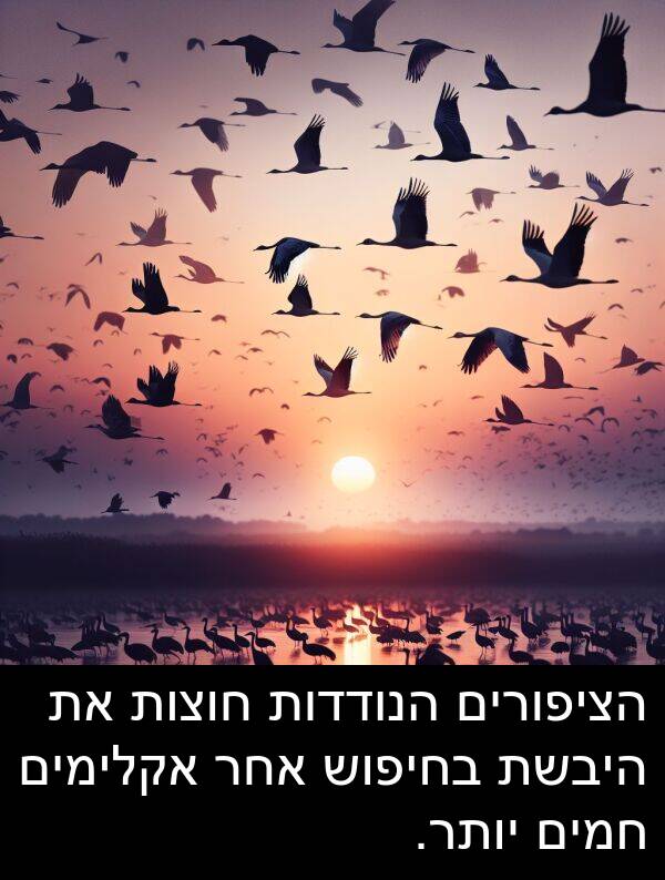 אחר: הציפורים הנודדות חוצות את היבשת בחיפוש אחר אקלימים חמים יותר.