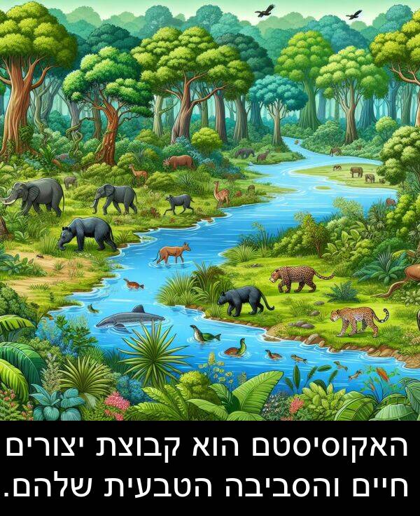 קבוצת: האקוסיסטם הוא קבוצת יצורים חיים והסביבה הטבעית שלהם.