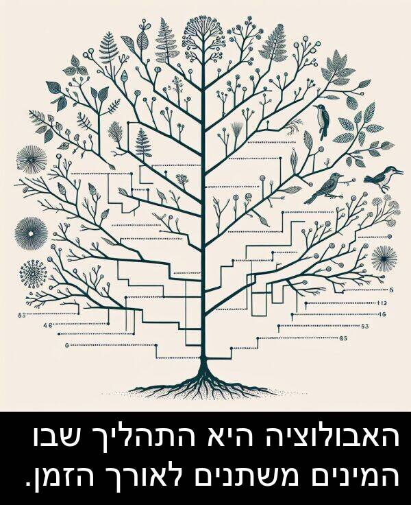 שבו: האבולוציה היא התהליך שבו המינים משתנים לאורך הזמן.