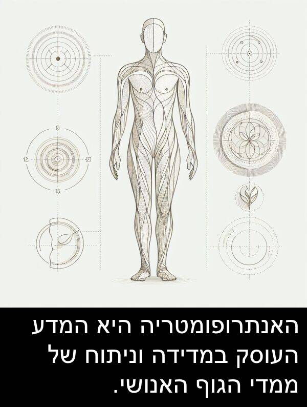 האנושי: האנתרופומטריה היא המדע העוסק במדידה וניתוח של ממדי הגוף האנושי.