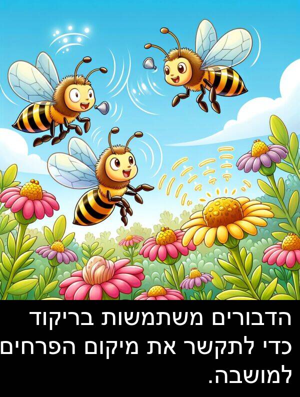 מיקום: הדבורים משתמשות בריקוד כדי לתקשר את מיקום הפרחים למושבה.