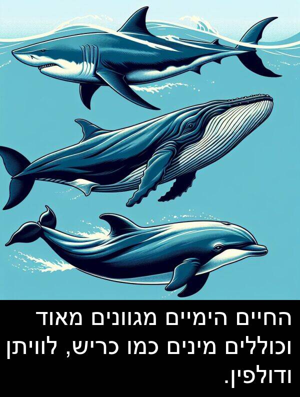 ודולפין: החיים הימיים מגוונים מאוד וכוללים מינים כמו כריש, לוויתן ודולפין.