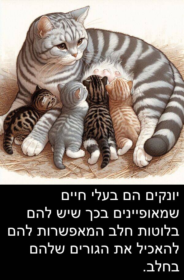 חלב: יונקים הם בעלי חיים שמאופיינים בכך שיש להם בלוטות חלב המאפשרות להם להאכיל את הגורים שלהם בחלב.