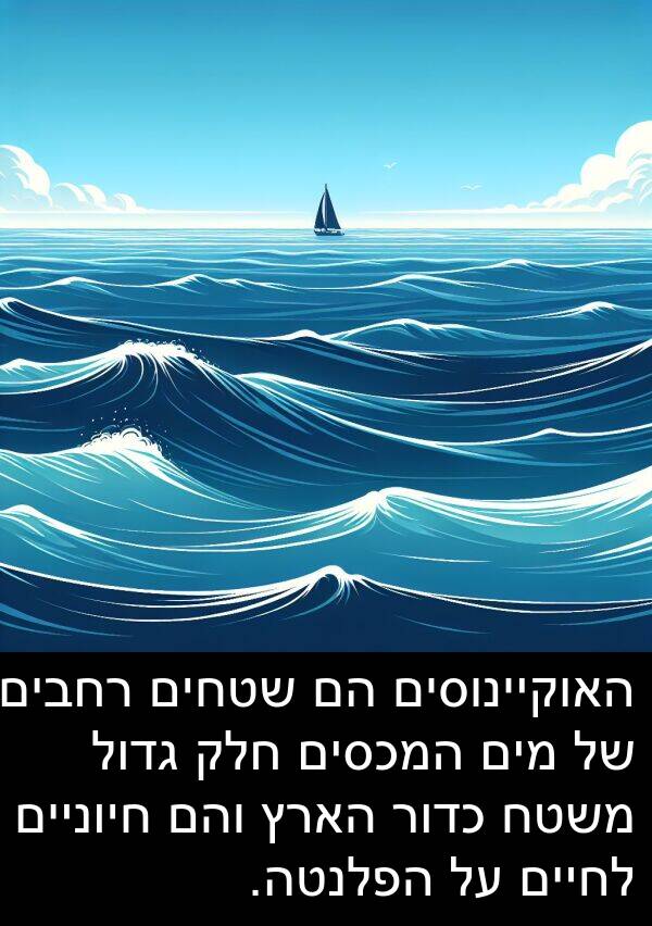 חיוניים: האוקיינוסים הם שטחים רחבים של מים המכסים חלק גדול משטח כדור הארץ והם חיוניים לחיים על הפלנטה.