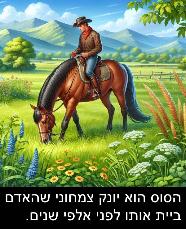 צמחוני: הסוס הוא יונק צמחוני שהאדם ביית אותו לפני אלפי שנים.