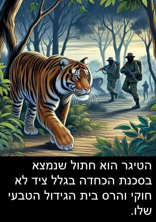 בגלל: הטיגר הוא חתול שנמצא בסכנת הכחדה בגלל ציד לא חוקי והרס בית הגידול הטבעי שלו.