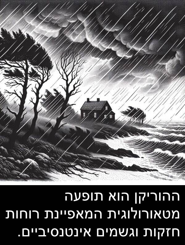 אינטנסיביים: ההוריקן הוא תופעה מטאורולוגית המאפיינת רוחות חזקות וגשמים אינטנסיביים.