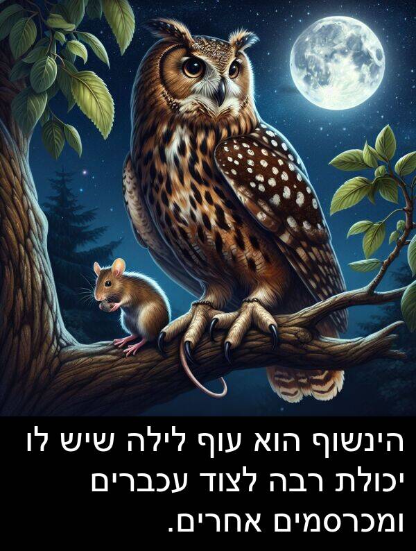 עוף: הינשוף הוא עוף לילה שיש לו יכולת רבה לצוד עכברים ומכרסמים אחרים.