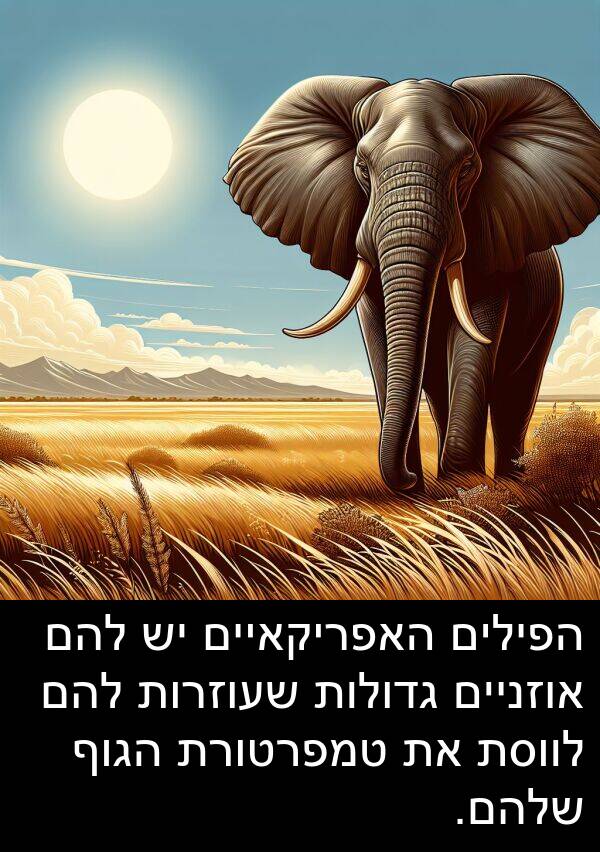 טמפרטורת: הפילים האפריקאיים יש להם אוזניים גדולות שעוזרות להם לווסת את טמפרטורת הגוף שלהם.