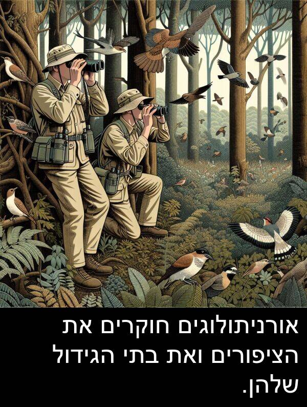 אורניתולוגים: אורניתולוגים חוקרים את הציפורים ואת בתי הגידול שלהן.