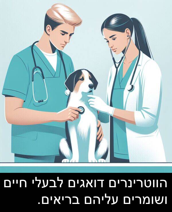 עליהם: הווטרינרים דואגים לבעלי חיים ושומרים עליהם בריאים.