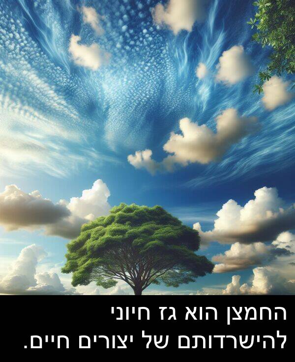 חיים: החמצן הוא גז חיוני להישרדותם של יצורים חיים.