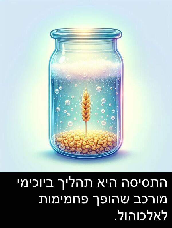 פחמימות: התסיסה היא תהליך ביוכימי מורכב שהופך פחמימות לאלכוהול.