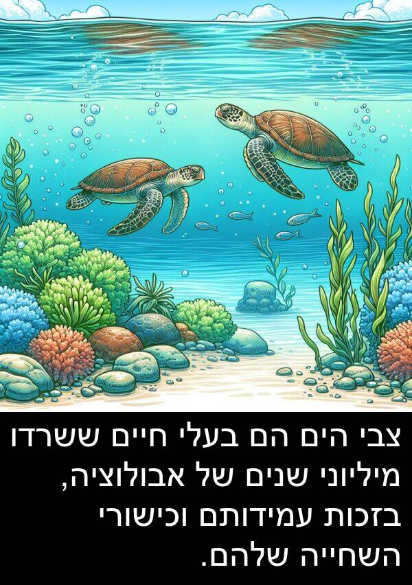 אבולוציה: צבי הים הם בעלי חיים ששרדו מיליוני שנים של אבולוציה, בזכות עמידותם וכישורי השחייה שלהם.