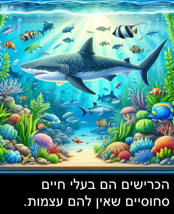 סחוסיים: הכרישים הם בעלי חיים סחוסיים שאין להם עצמות.