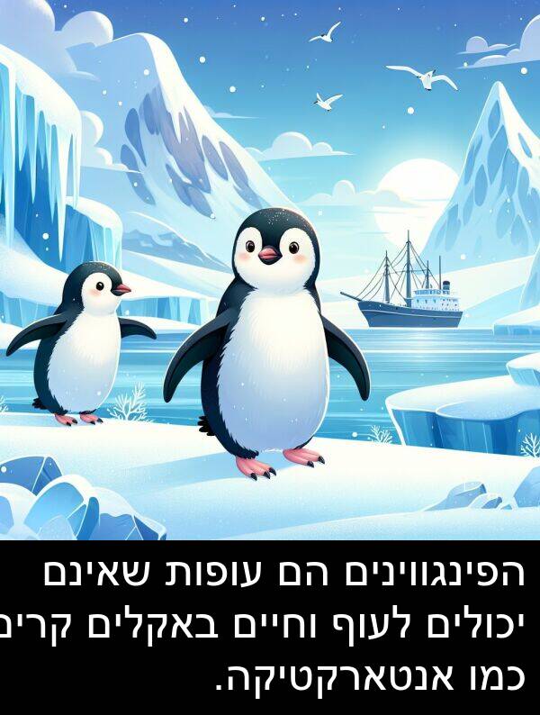 באקלים: הפינגווינים הם עופות שאינם יכולים לעוף וחיים באקלים קרים כמו אנטארקטיקה.