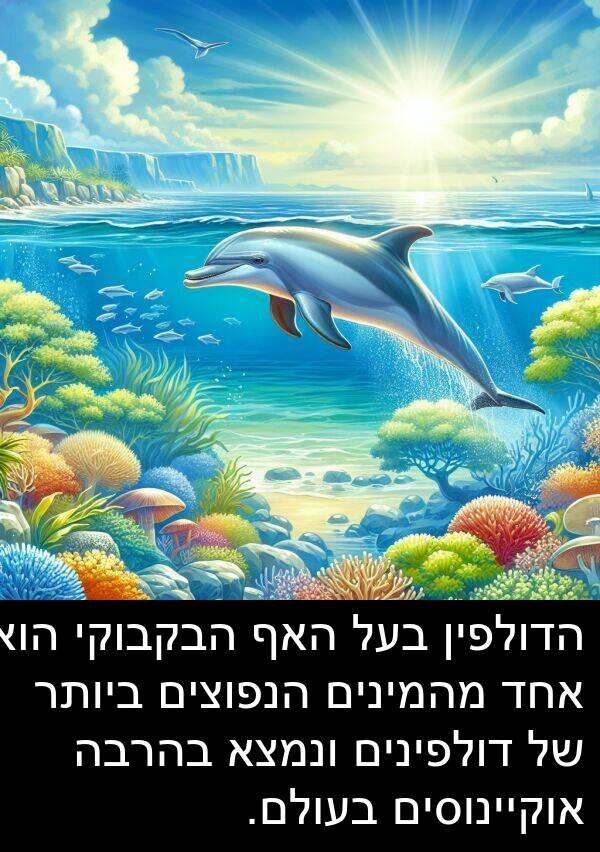 דולפינים: הדולפין בעל האף הבקבוקי הוא אחד מהמינים הנפוצים ביותר של דולפינים ונמצא בהרבה אוקיינוסים בעולם.