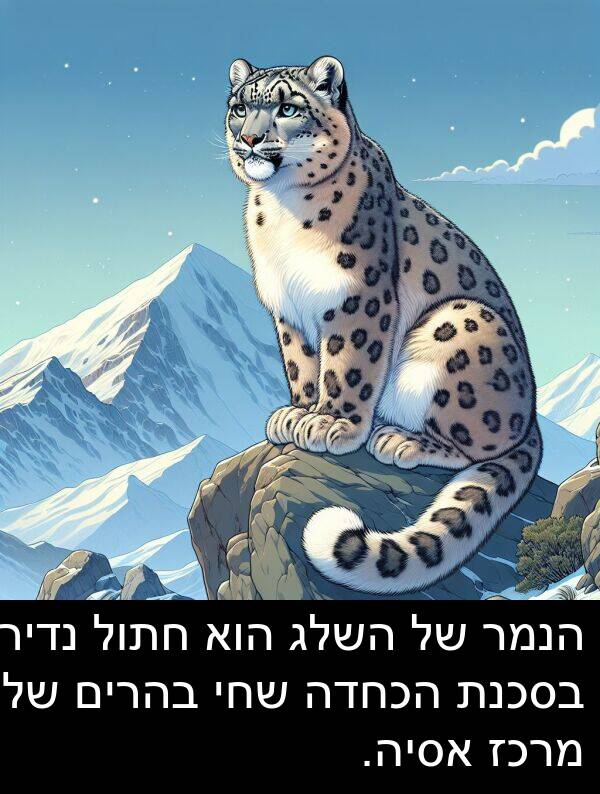 בהרים: הנמר של השלג הוא חתול נדיר בסכנת הכחדה שחי בהרים של מרכז אסיה.
