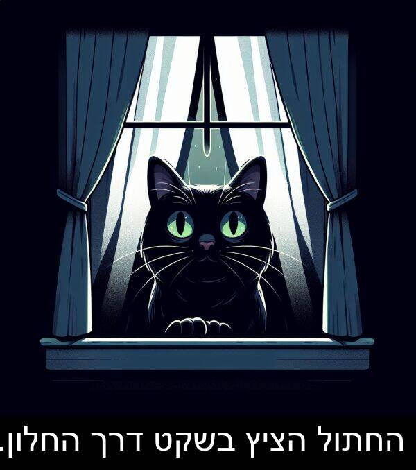 דרך: החתול הציץ בשקט דרך החלון.