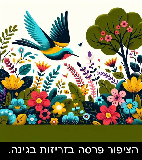 בגינה: הציפור פרסה בזריזות בגינה.