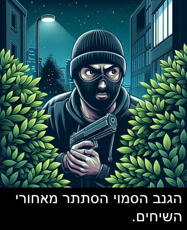מאחורי: הגנב הסמוי הסתתר מאחורי השיחים.