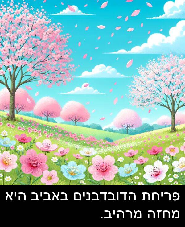 באביב: פריחת הדובדבנים באביב היא מחזה מרהיב.