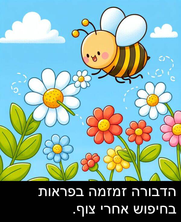 צוף: הדבורה זמזמה בפראות בחיפוש אחרי צוף.
