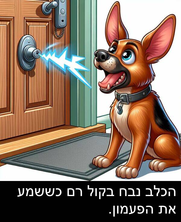 נבח: הכלב נבח בקול רם כששמע את הפעמון.