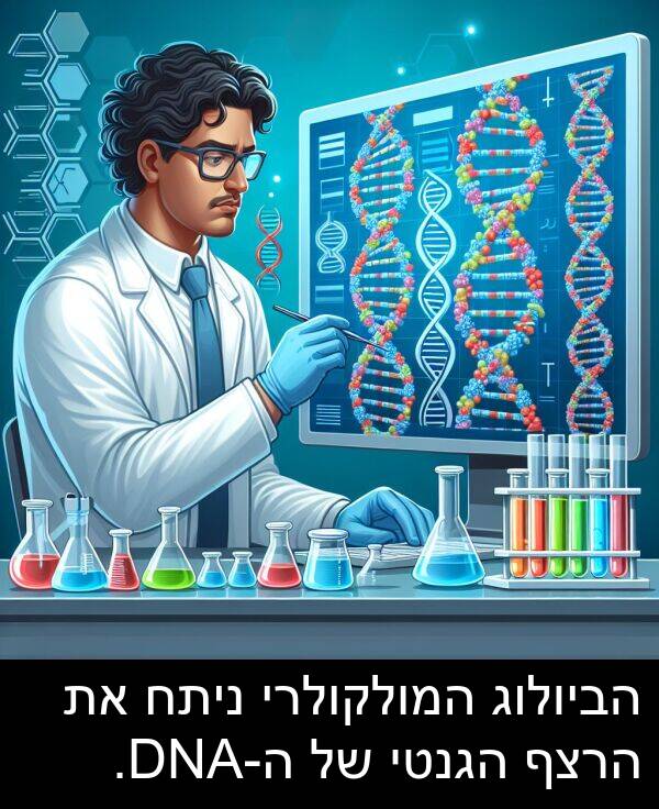 ניתח: הביולוג המולקולרי ניתח את הרצף הגנטי של ה-DNA.