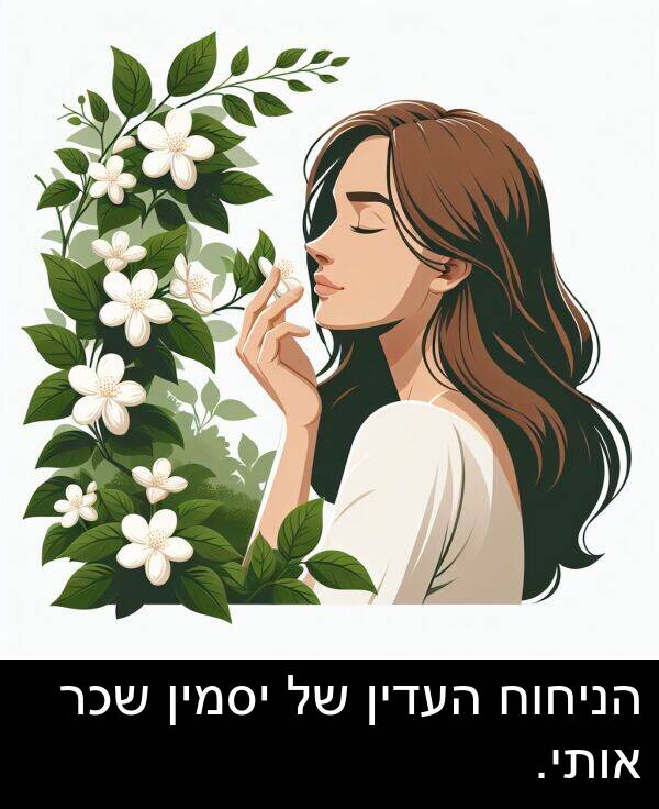 אותי: הניחוח העדין של יסמין שכר אותי.